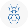 Ant Removals In Barry