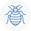 Bed Bug Extermination In Barry