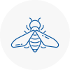 Bee Nest Removal Barry