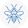 Barry Hornet Nest Removals
