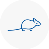 Mice Exterminators In Barry