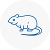Rat Control Barry