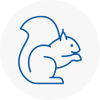 Barry Rodent Removals