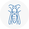 Barry Wasp Nest Removal